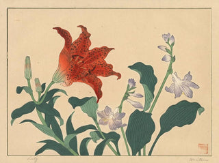 Lys - Sakai Hōitsu — weergave van het kunstwerk