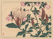 Magnolia - Sakai Hōitsu — weergave van het kunstwerk