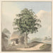 Saint sitting near a pedestal under a tree - Samuel Davis — artwork view
