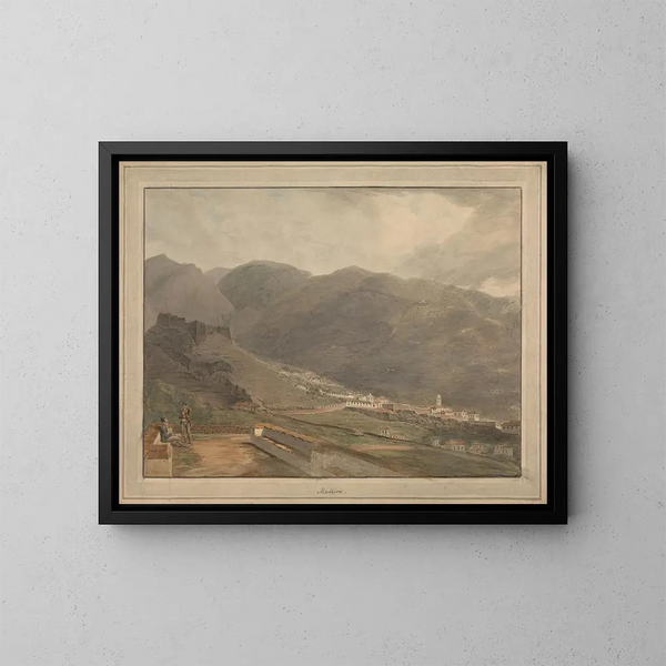 Madeira - Samuel Davis — ingelijst kunstwerk aan de muur