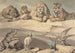 van een everzwijn, een luipaard, een leeuw, een tijger, een wolf, een ram en twee arenden - Samuel Howitt — weergave van het kunstwerk