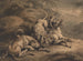 Leeuw en leeuwin die een rund aanvallen - Samuel Howitt — weergave van het kunstwerk