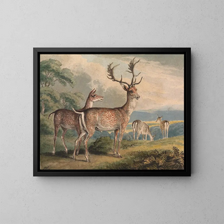 Samuel Howitt - Stag Doe and Fawns.webp