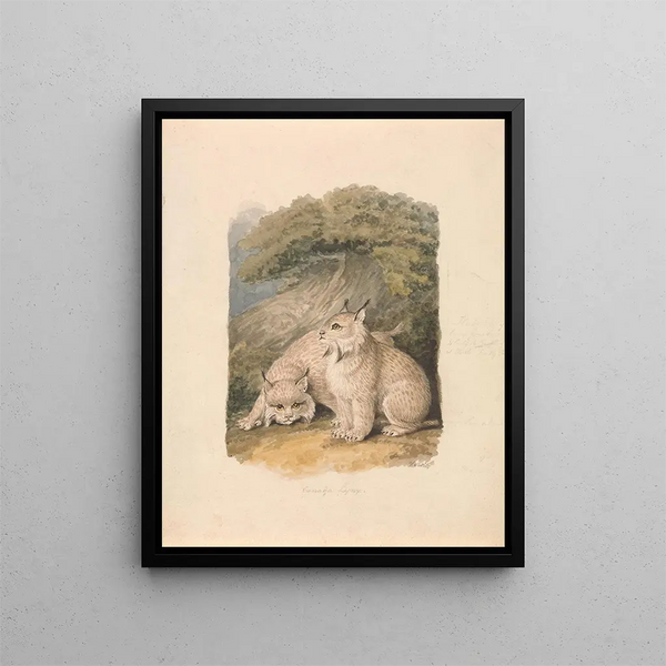 Samuel Howitt - The Canada Lynx from the Life.webp