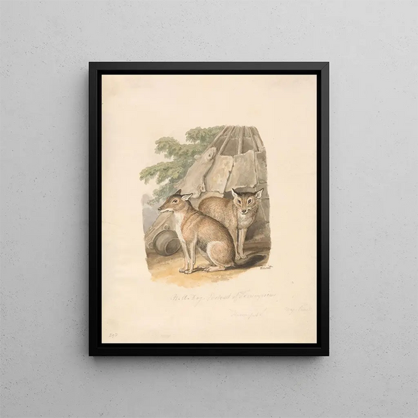 Samuel Howitt - Two Huskies.webp