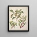 Alseuosmie - Sarah Featon — framed artwork on a wall