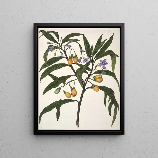 Bonjour - Sarah Featon — ingelijst kunstwerk aan de muur