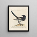 Ornithologie methodisch verteerd Pl152 - Saverio Manetti — ingelijst kunstwerk aan de muur