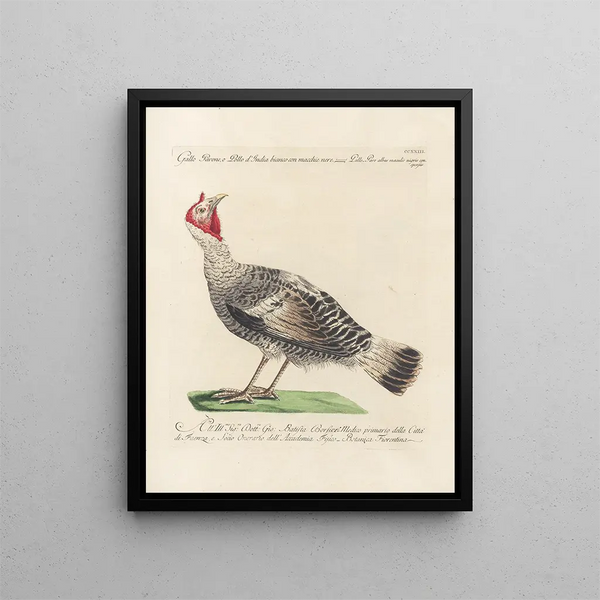 Vogelkennis systematisch verwerkt Pl205 - Saverio Manetti — ingelijst kunstwerk aan de muur