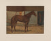 Kapitein Lewis - Scott Leighton — weergave van het kunstwerk