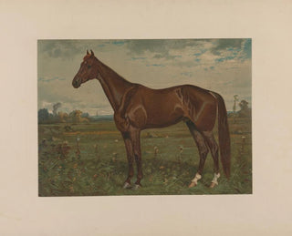 Edwin Thorne - Scott Leighton — weergave van het kunstwerk