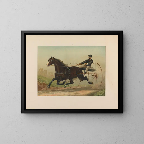 Contrebandier - Scott Leighton — ingelijst kunstwerk aan de muur
