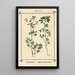 Atlas des plantes pour Ma cure d'eau Pl07 - Sebastian Kneipp — framed artwork on a wall