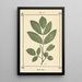 Atlas des planten voor Ma cure d'eau Pl30 - Sebastian Kneipp — ingelijst kunstwerk aan de muur
