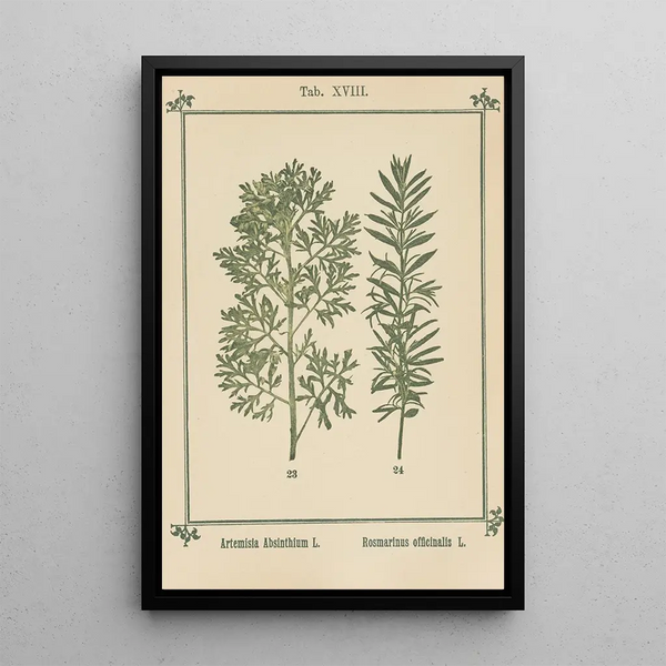 Sebastian Kneipp - Plantatlas to My watercure Pl37.webp
