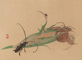 Shunkei Mori - Chuka senzen Pl02.webp