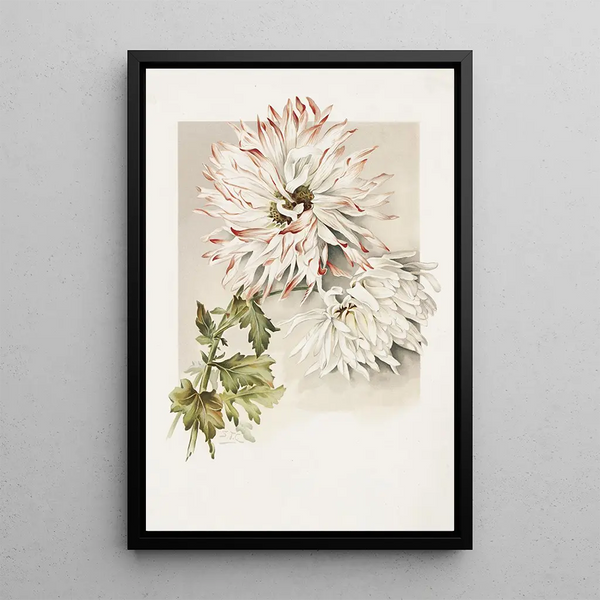 Sidney Thomas Callowhill - Chrysanthemums.webp