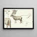 Schetsen van schapen - Sientje Mesdag van Houten — ingelijst kunstwerk aan de muur
