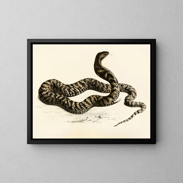 Naja haematochetes - Sir Andrew Smith — ingelijst kunstwerk aan de muur