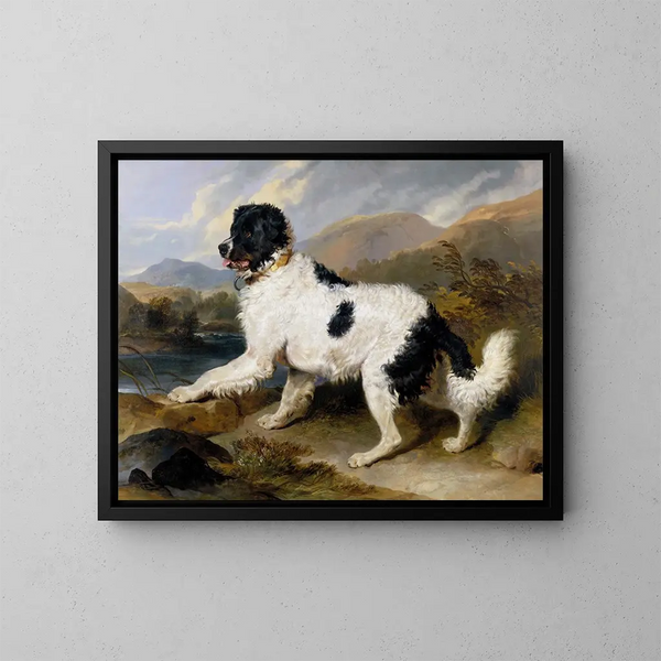 Leeuw, een Newfoundland-hond - Sir Edwin Henry Landseer — ingelijst kunstwerk aan de muur