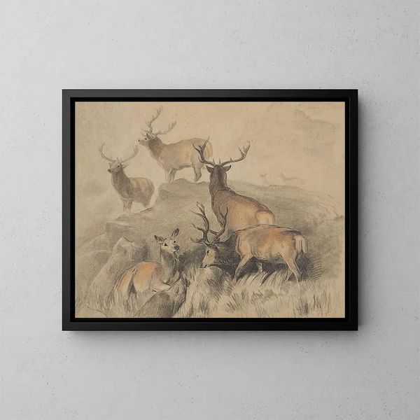 Sommige van de mooiste herten uit het bos - Sir Edwin Henry Landseer — ingelijst kunstwerk aan de muur