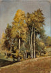Studie van bomen - Stanisław Filibert Fleury — weergave van het kunstwerk