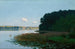 Lac avec nénuphars - Stanisław Witkiewicz — weergave van het kunstwerk