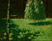 Jonge berkenbomen - Stanisław Witkiewicz — weergave van het kunstwerk
