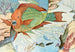 Poisson-perroquet - Stephen Haweis — weergave van het kunstwerk