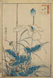Oiseau au-dessus des coquelicots - Sugakudo — weergave van het kunstwerk