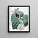 Aristoloche à fleurs de bateau - Sydenham Edwards — ingelijst kunstwerk aan de muur