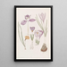 Crocus - Sydenham Edwards — ingelijst kunstwerk aan de muur