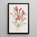 Ruellia à grandes feuilles - Sydenham Edwards — ingelijst kunstwerk aan de muur