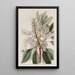 Arbousier à feuilles de laurier - Sydenham Edwards — framed artwork on a wall