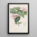 Ruellia à fleurs lilas - Sydenham Edwards — ingelijst kunstwerk aan de muur