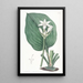 Eurycles van M. Cunningham - Sydenham Edwards — ingelijst kunstwerk aan de muur