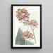Oncidium van M. Lance - Sydenham Edwards — ingelijst kunstwerk aan de muur