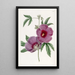 Hibiscus van M. Lindley - Sydenham Edwards — ingelijst kunstwerk aan de muur