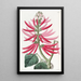 Erythrine à fleurs nues - Sydenham Edwards — ingelijst kunstwerk aan de muur