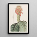Aphelandra orange - Sydenham Edwards — framed artwork on a wall