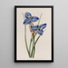 Patersonia saphir - Sydenham Edwards — ingelijst kunstwerk aan de muur