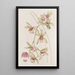 Cymbidium Short-Lipped and Thick-Leaved Painting - Sydenham Edwards — framed artwork on a wall