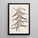 Hovea à épis - Sydenham Edwards — framed artwork on a wall