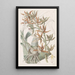 Mermodes strié - Sydenham Edwards — framed artwork on a wall