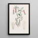 Collania douce - Sydenham Edwards — framed artwork on a wall