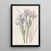 Iris doux - Sydenham Edwards — framed artwork on a wall