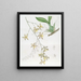 Grootste Oncidium-schilderij - Sydenham Edwards — ingelijst kunstwerk aan de muur