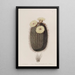 The broom cactus - Sydenham Edwards — framed artwork on a wall
