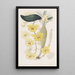 The dendrobe with golden arch - Sydenham Edwards — framed artwork on a wall