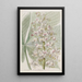 The Ohio Buckeye Tree - Sydenham Edwards — framed artwork on a wall